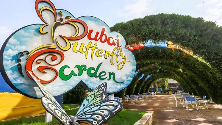 dubai butterfly garden